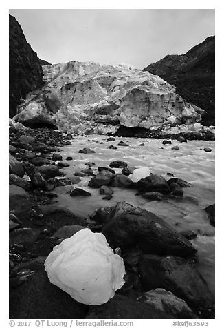 Iceberg, stream, Exit Glacier front, 2016. Kenai Fjords National Park (black and white)