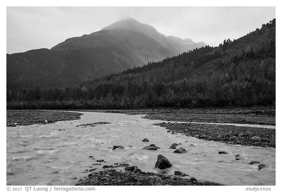 Streams on Exit Glacier outwash plain in the rain. Kenai Fjords National Park (black and white)