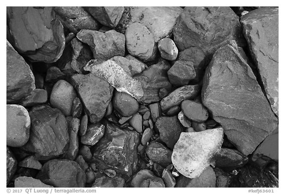 Close-up of rocks and icebergs, Exit Glacier outwash plain. Kenai Fjords National Park (black and white)