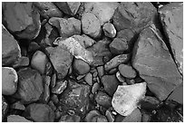 Close-up of rocks and icebergs, Exit Glacier outwash plain. Kenai Fjords National Park ( black and white)