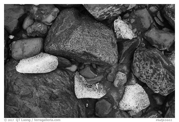 Close-up of rocks and icebergs near Exit Glacier. Kenai Fjords National Park (black and white)