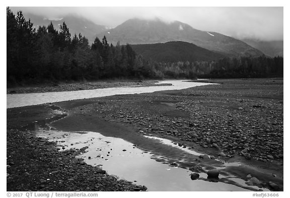 Stream and trees in autumn foliage, and mountains in the rain near Exit Glacier. Kenai Fjords National Park (black and white)