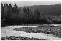 Stream and trees in fall foliage, Exit Glacier outwash plain. Kenai Fjords National Park ( black and white)