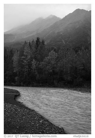 Stream, trees in autum foliage, and misty mountains. Kenai Fjords National Park (black and white)