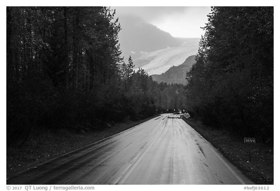 Exit Glacier Road. Kenai Fjords National Park (black and white)