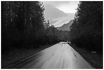 Exit Glacier Road. Kenai Fjords National Park ( black and white)