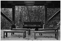 Benches under rain shelter. Kenai Fjords National Park ( black and white)