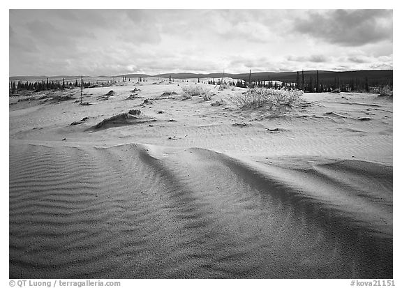 Sand ripples in Arctic dune field. Kobuk Valley National Park (black and white)