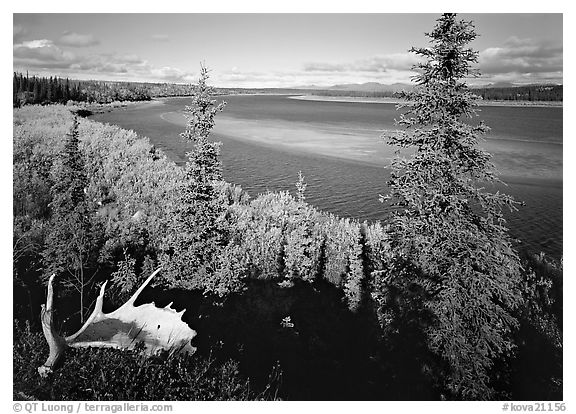 Antlers and bend of the Kobuk River, mid-morning. Kobuk Valley National Park (black and white)