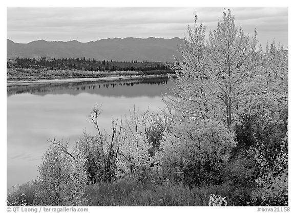 River, Warring Mountains, and fall colors at Onion Portage. Kobuk Valley National Park (black and white)