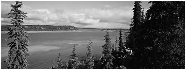 River landscape with forested riverbank. Kobuk Valley National Park (Panoramic black and white)