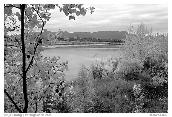 River, Warring Mountains, and fall colors at Onion Portage. Kobuk Valley National Park, Alaska, USA.