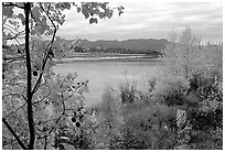 River, Warring Mountains, and fall colors at Onion Portage. Kobuk Valley National Park, Alaska, USA. (black and white)