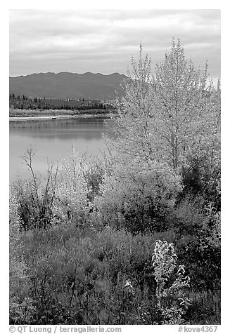 Kobuk River, Warring Mountains, and autumn colors, Onion Portage. Kobuk Valley National Park (black and white)