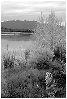 Kobuk River, Warring Mountains, and autumn colors, Onion Portage. Kobuk Valley National Park ( black and white)