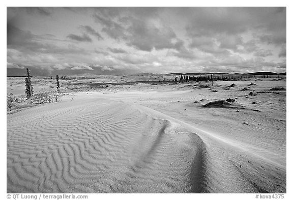 Ripples in the Great Sand Dunes. Kobuk Valley National Park (black and white)