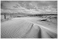 Ripples in the Great Sand Dunes. Kobuk Valley National Park ( black and white)