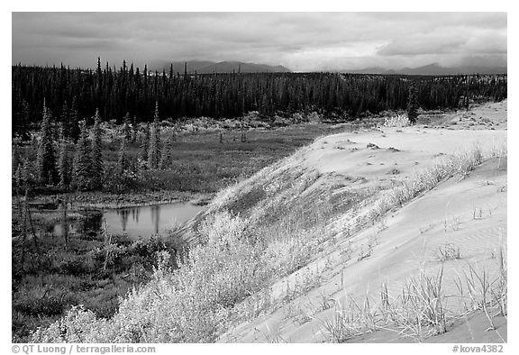 Edge of the Great Sand Dunes with tundra and taiga below. Kobuk Valley National Park (black and white)