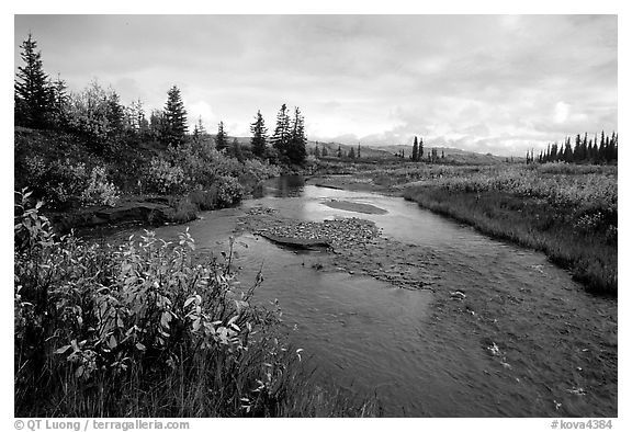 Kavet Creek, with the Great Sand Dunes in the background. Kobuk Valley National Park (black and white)