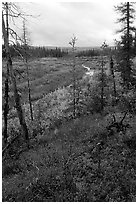 Autumn colors on Kavet Creek near the Great Sand Dunes. Kobuk Valley National Park, Alaska, USA. (black and white)