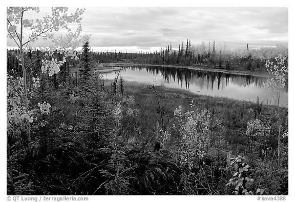 Pond near Kavet Creek. Kobuk Valley National Park (black and white)