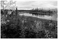 Pond near Kavet Creek. Kobuk Valley National Park ( black and white)