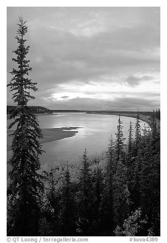 Boreal trees and bend of the Kobuk River, evening. Kobuk Valley National Park (black and white)