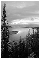 Boreal trees and bend of the Kobuk River, evening. Kobuk Valley National Park, Alaska, USA. (black and white)