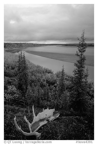 Antlers and bend of the Kobuk River, evening. Kobuk Valley National Park, Alaska, USA.