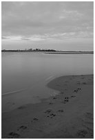 Caribou tracks on  shore of Kobuk River, evening. Kobuk Valley National Park, Alaska, USA. (black and white)