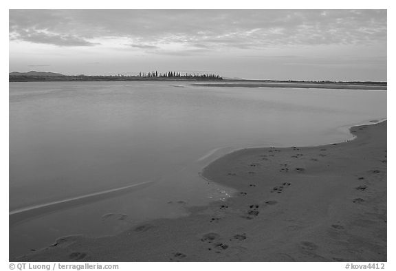 Sand bar shore with caribou tracks, evening. Kobuk Valley National Park (black and white)