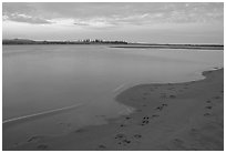 Sand bar shore with caribou tracks, evening. Kobuk Valley National Park ( black and white)