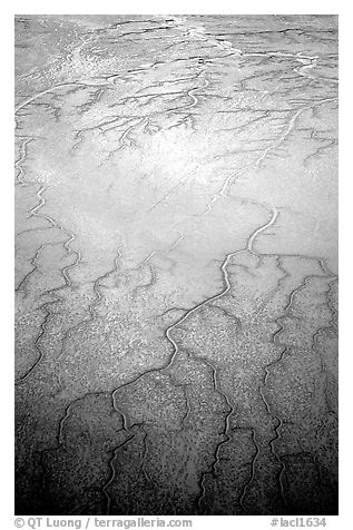 Aerial view of mud flat dendritic pattern on Cook inlet. Lake Clark National Park, Alaska, USA.