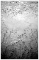 Aerial view of mud flat dendritic pattern on Cook inlet. Lake Clark National Park, Alaska, USA. (black and white)
