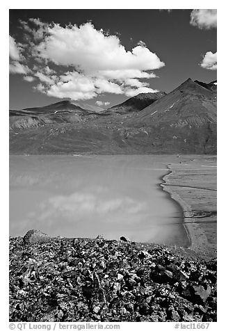 East end of Turquoise Lake. Lake Clark National Park, Alaska, USA.