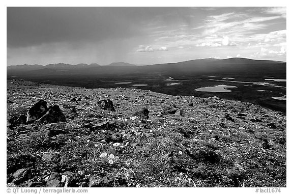 Sunny tundra with wildflowers and valley in dark storm clouds. Lake Clark National Park (black and white)