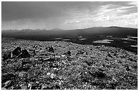 Sunny tundra with wildflowers and valley in dark storm clouds. Lake Clark National Park ( black and white)