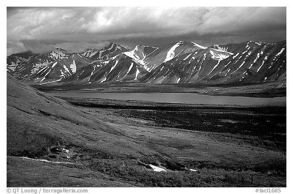 Verdant tundra, lake, and snowy mountains under clouds. Lake Clark National Park (black and white)