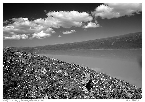 Turquoise Lake. Lake Clark National Park (black and white)