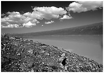 Turquoise Lake. Lake Clark National Park ( black and white)