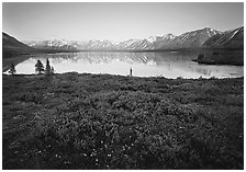 Tundra in summer with wildflowers and Twin Lake shore. Lake Clark National Park ( black and white)