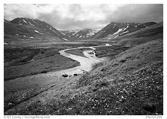 Valley with wildflowers, between Turquoise Lake and Twin Lakes. Lake Clark National Park (black and white)