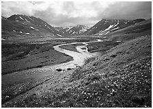 Valley with wildflowers, between Turquoise Lake and Twin Lakes. Lake Clark National Park, Alaska, USA. (black and white)