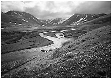 Valley with wildflowers, between Turquoise Lake and Twin Lakes. Lake Clark National Park ( black and white)