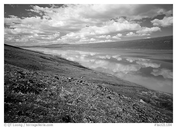Coulds and reflections from above Turquoise Lake. Lake Clark National Park (black and white)