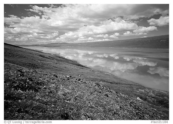 Clouds and reflections from above Turquoise Lake. Lake Clark National Park, Alaska, USA.