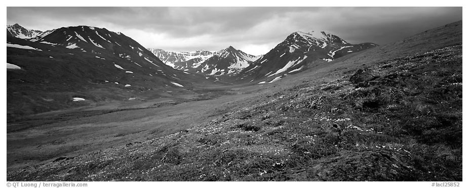Summer mountain landscape with green tundra and wildflowers. Lake Clark National Park (black and white)