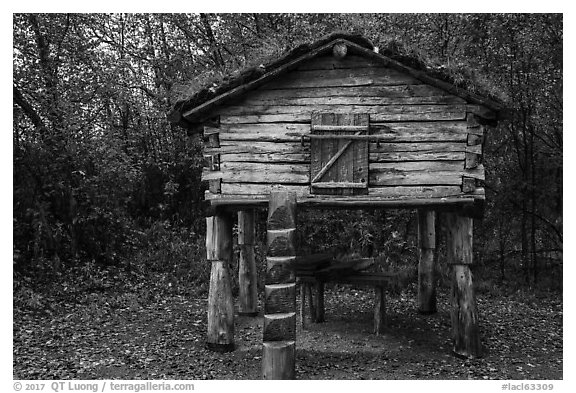 Denaina traditional fish cache. Lake Clark National Park (black and white)