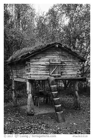 Denaina traditional fish storage. Lake Clark National Park (black and white)