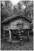 Denaina traditional fish storage. Lake Clark National Park ( black and white)